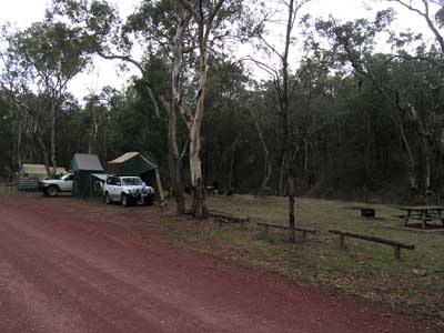 Wallaby Camping Area