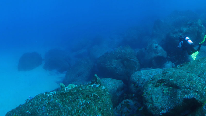 The cliff above site