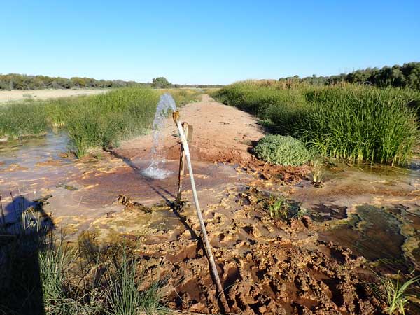 Simpson Desert