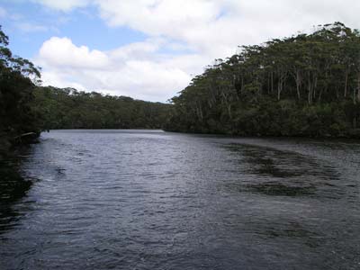 The Arthur River