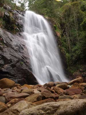Tinebank Creek Falls