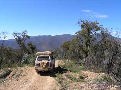 Wombat Spur Track