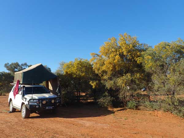 Simpson Desert