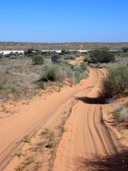 Simpson Desert
