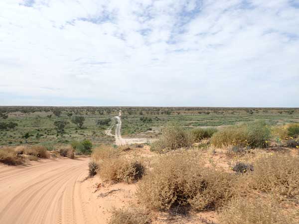 Simpson Desert